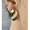 Pendientes concha
