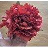 Peonía roja